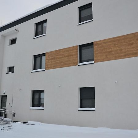 Villa Halinton Wodzislaw Slaski Exterior foto